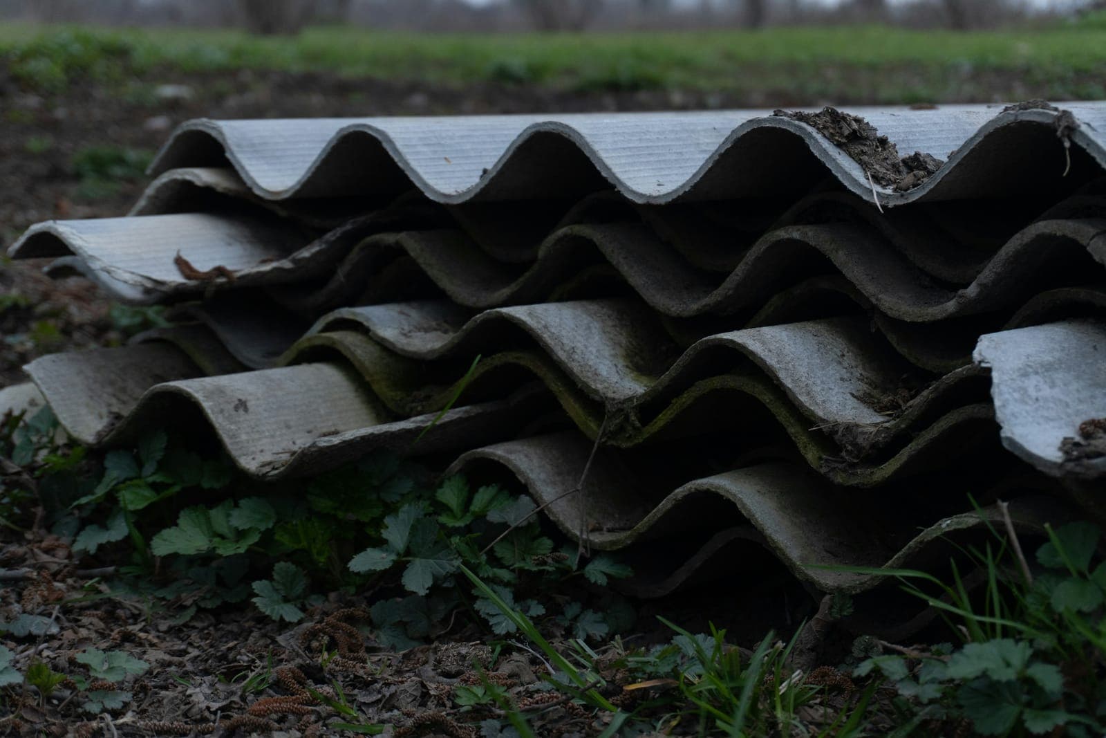 Weathered corrugated fibre-cement sheets, close up